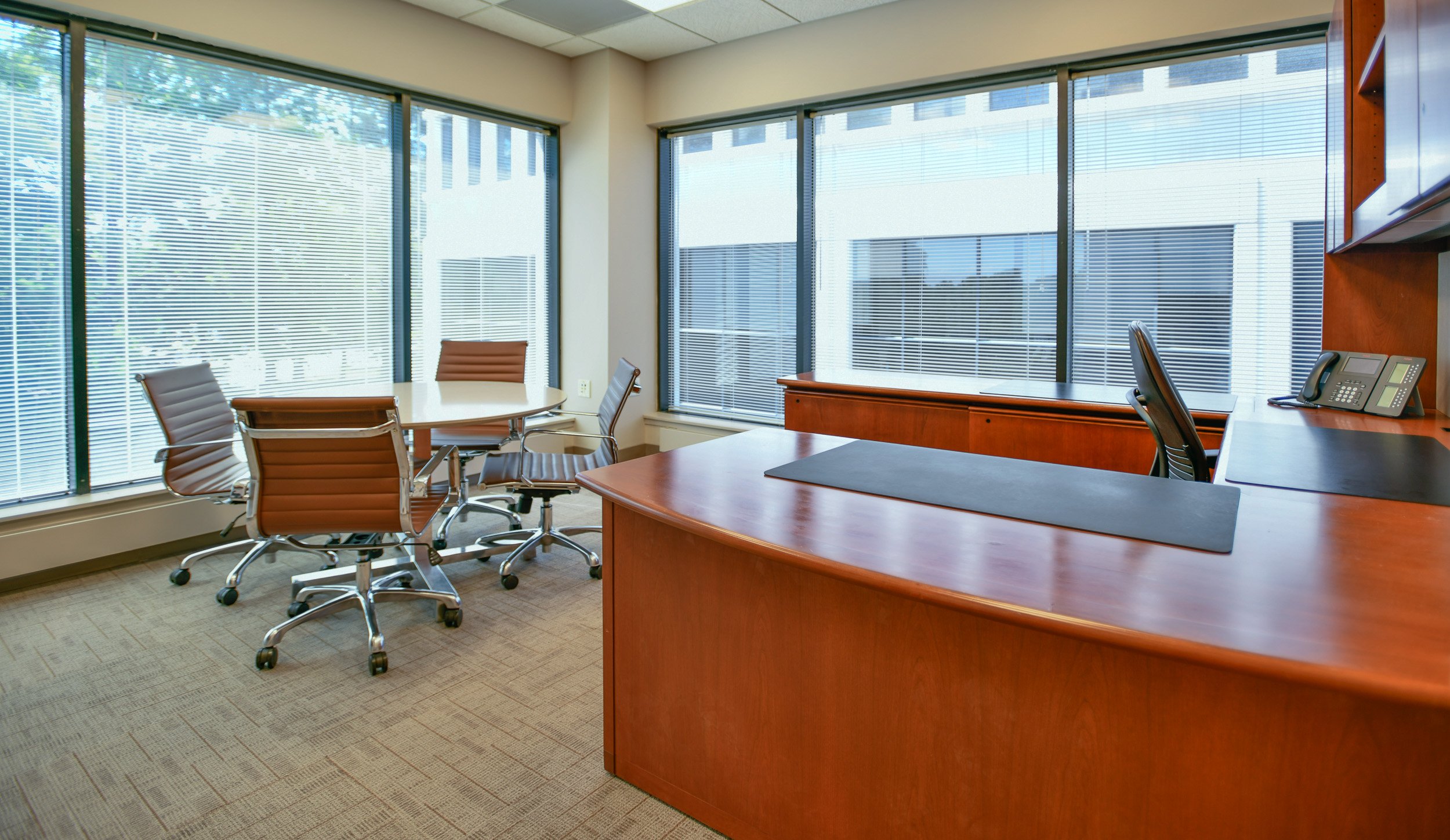 Professional Office